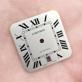 Guaranteed Authentic Cartier Santos Large With Date 26.1mmx26.1mm Automatic Silver Swiss Dial